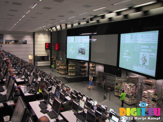SX23936 Auction clocks Bloemenveiling Aalsmeer FloraHolland Flower Auction